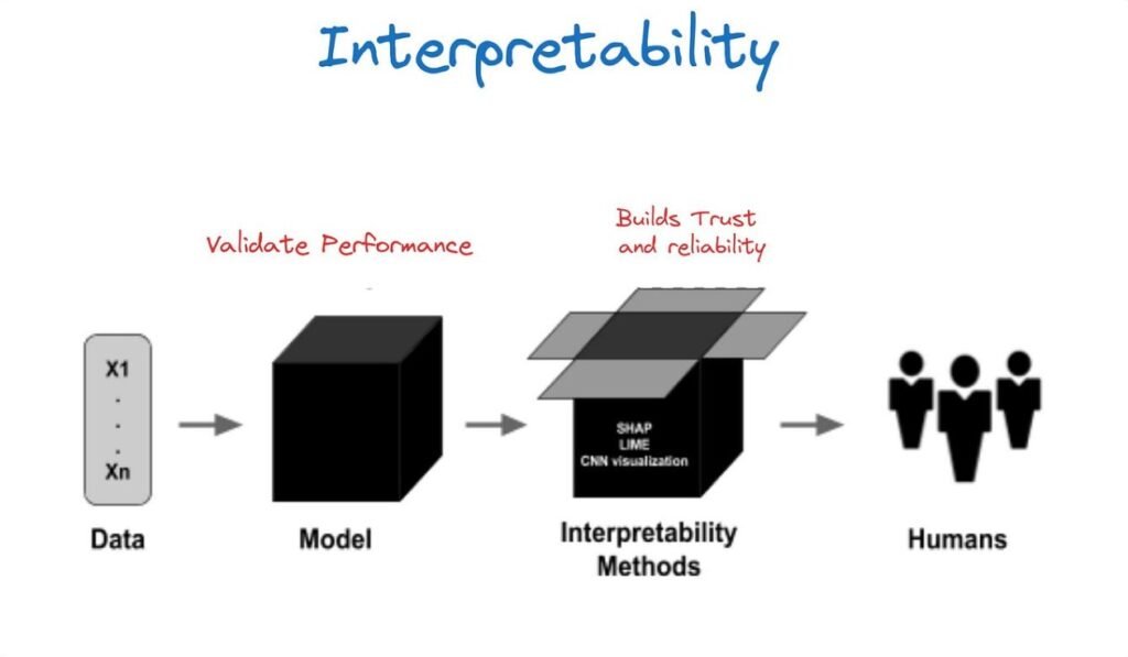 Model Interpretability